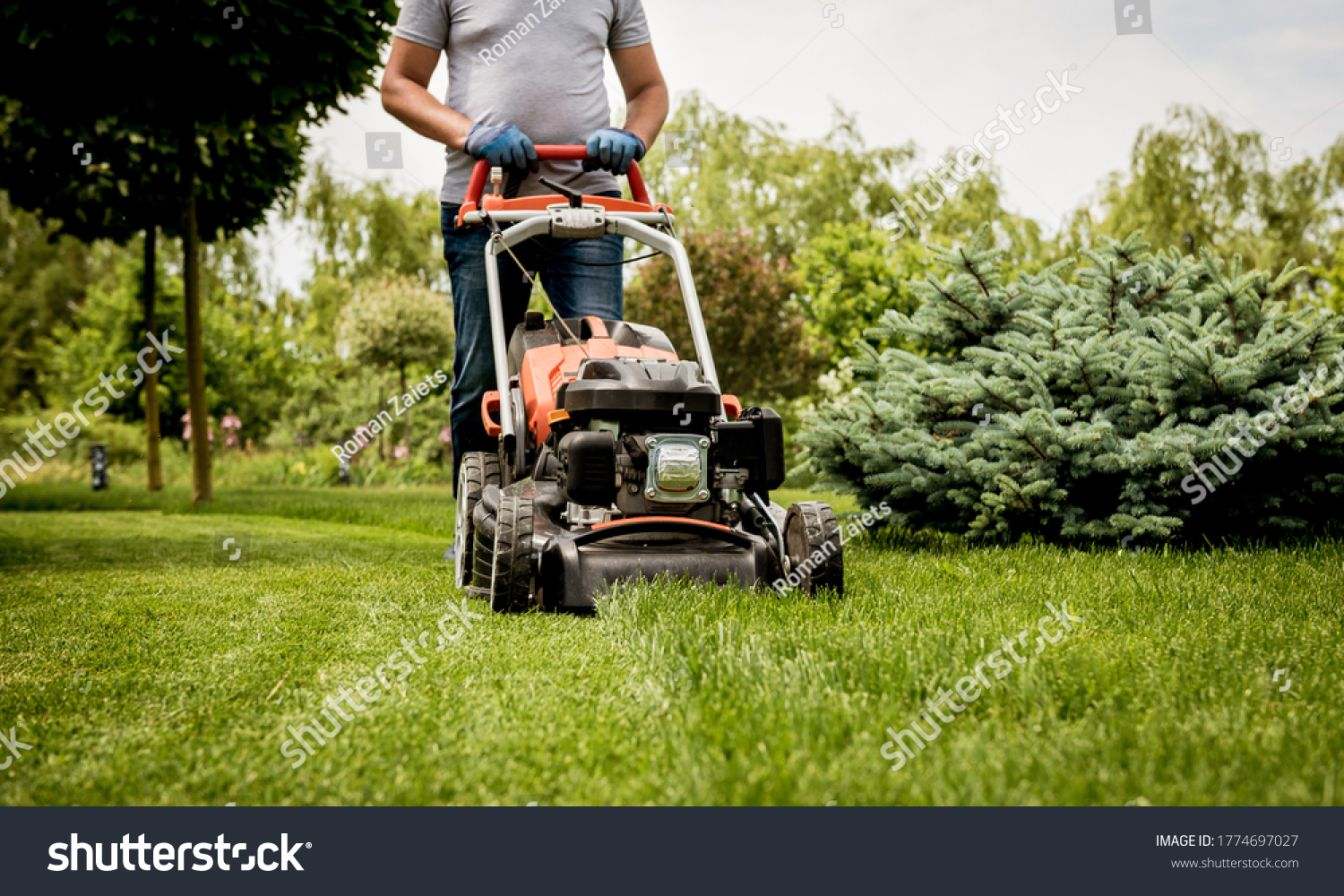 Gardener mowing the lawn. Landscape design. Green grass background #1774697027