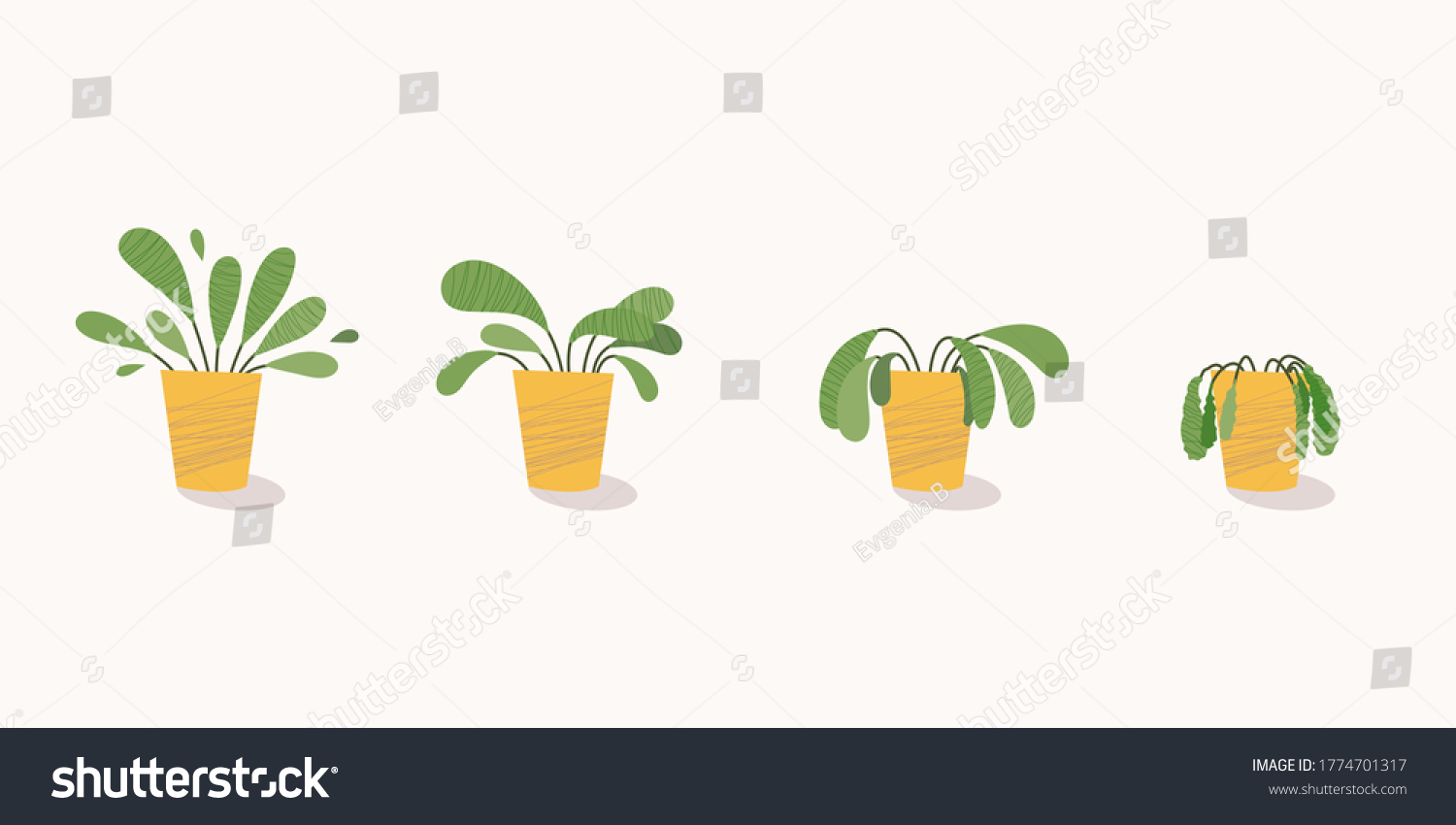 Stages of withering, a wilted plant in a pot, abandoned houseplant without watering and care. Potted plant dying. Vector illustration #1774701317