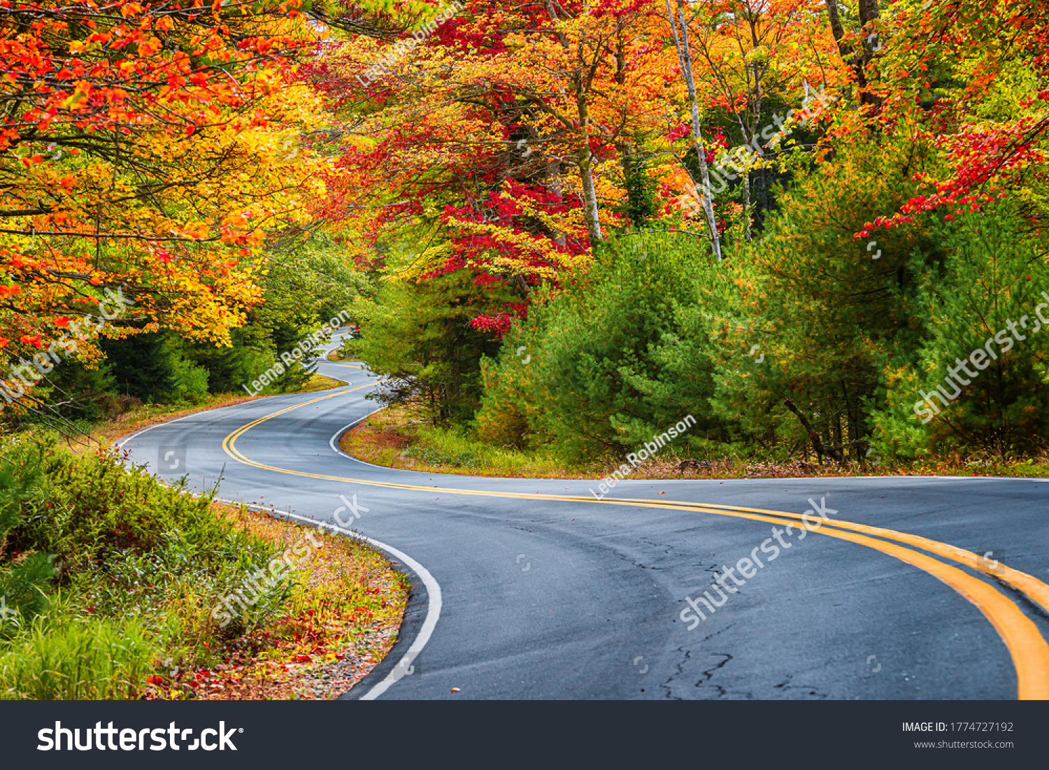 Winding road curves through scenic autumn foliage trees in New England. #1774727192