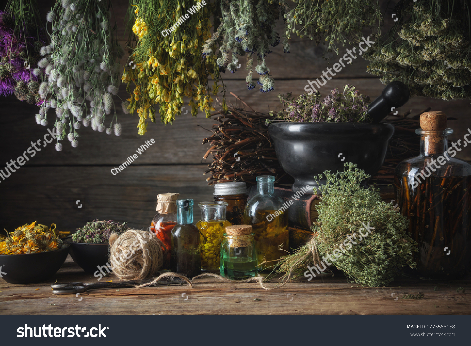 Hanging bunches of medical herbs, mortar and bowl with dried medicinal plants, infusion and essential oil bottles. Alternative medicine. #1775568158