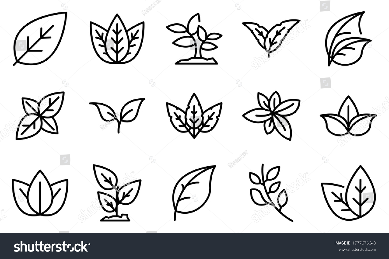 Basil icons set. Outline set of basil vector icons for web design isolated on white background #1777676648