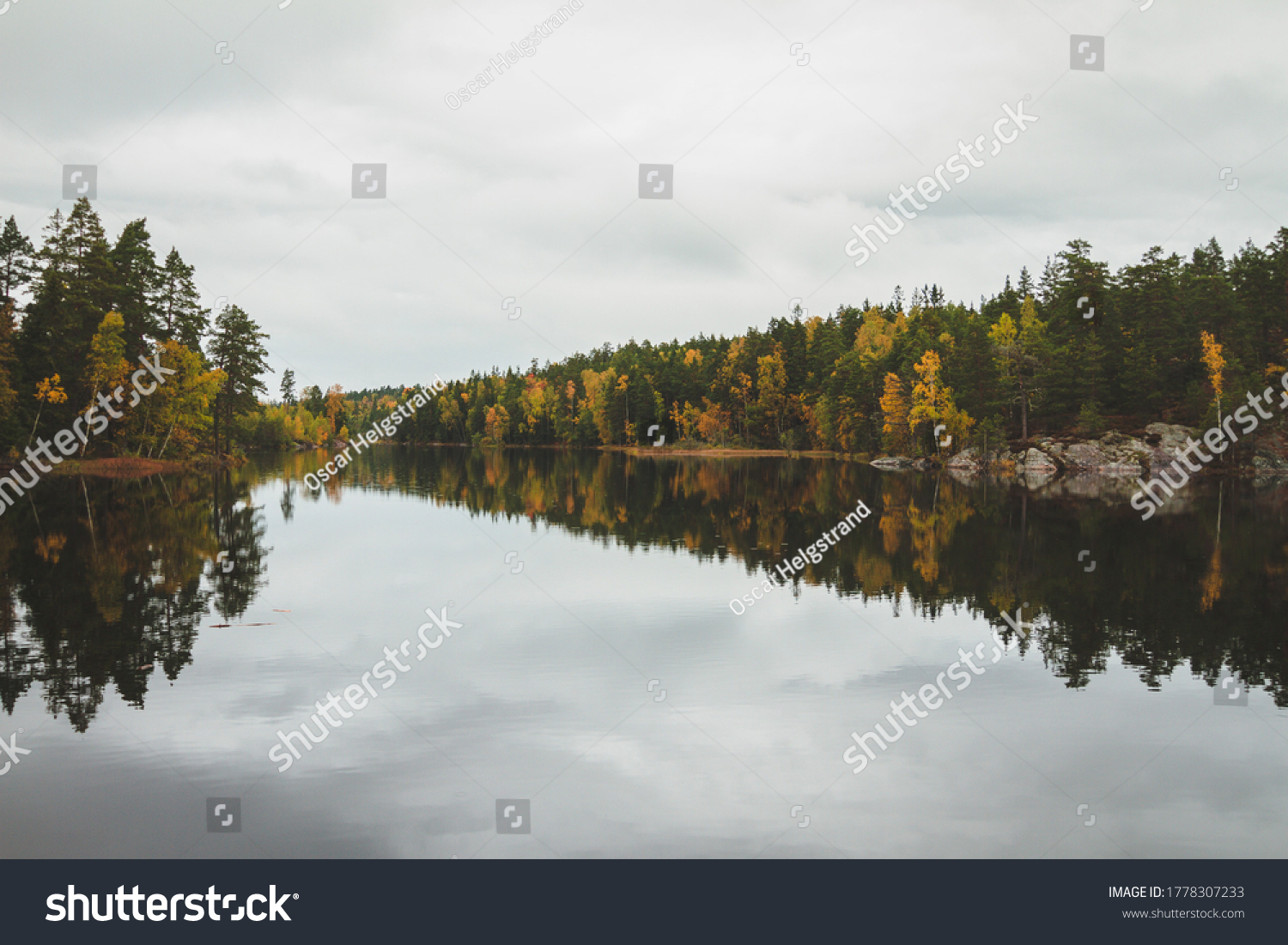 Tyresta National Park is a national park with a surrounding nature reserve in Sweden, located in Haninge and Tyresö municipalities in Stockholm County. #1778307233