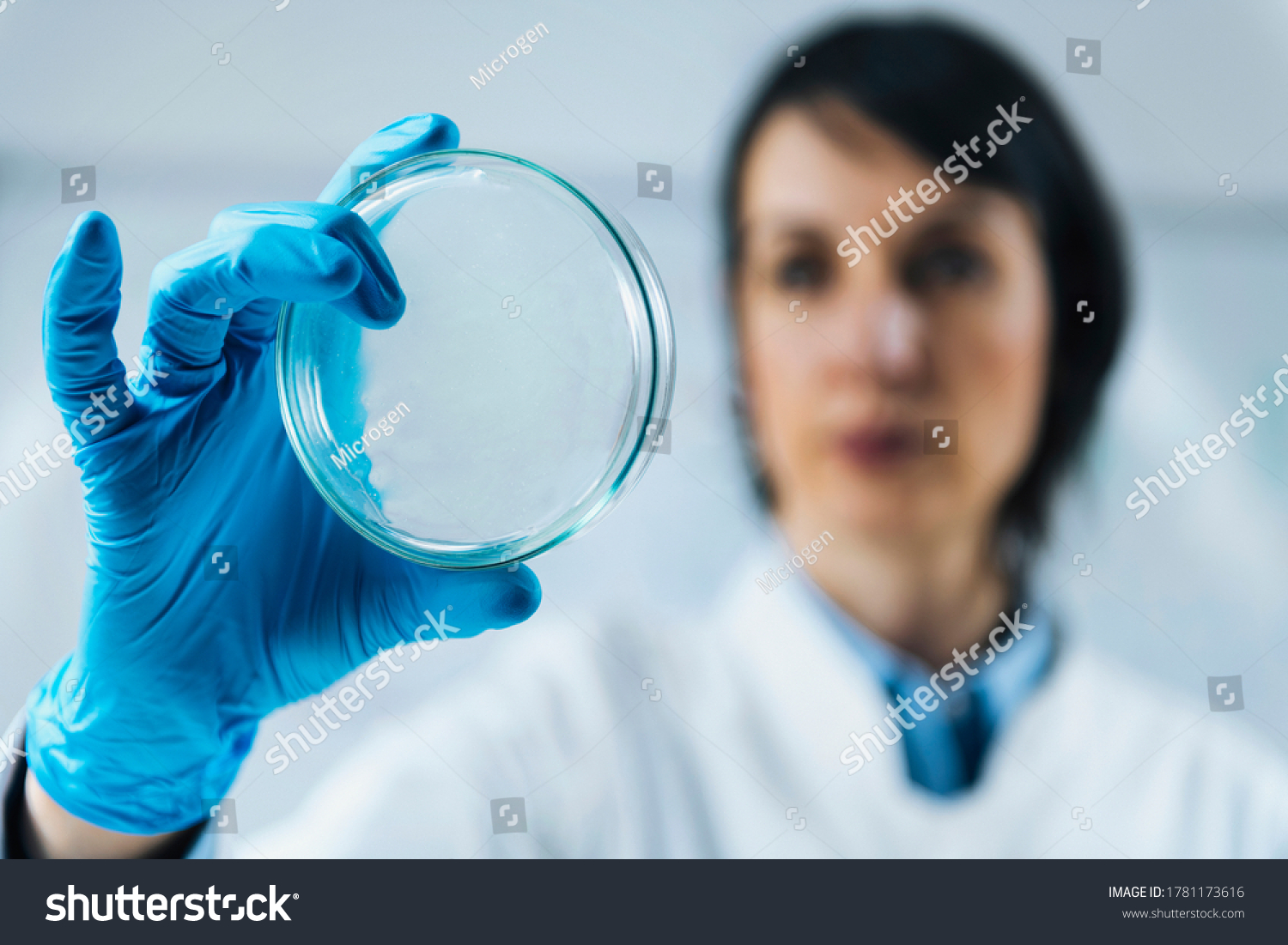 Food Quality Assessment in Microbiology Laboratory, Microbiologist at work, examining petri dishes with samples  #1781173616