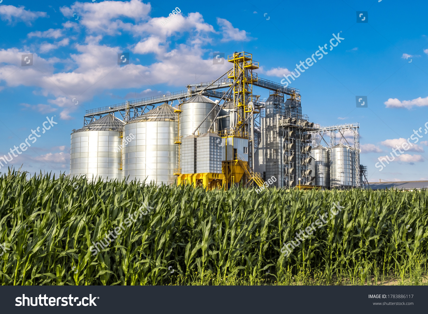 Modern Granary elevator. Silver silos on agro-processing and manufacturing plant for processing drying cleaning and storage of agricultural products, flour, cereals and grain.  #1783886117