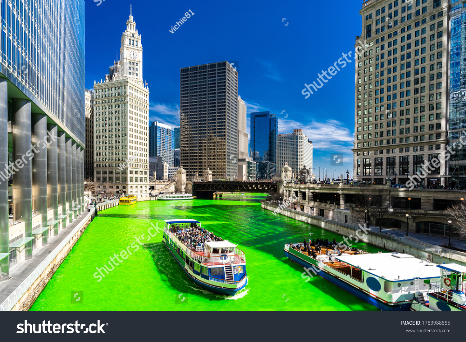 Chicago Skylines building along green dyeing river of Chicago River on St. Patrick's day festival in Chicago Downtown IL USA #1783988855