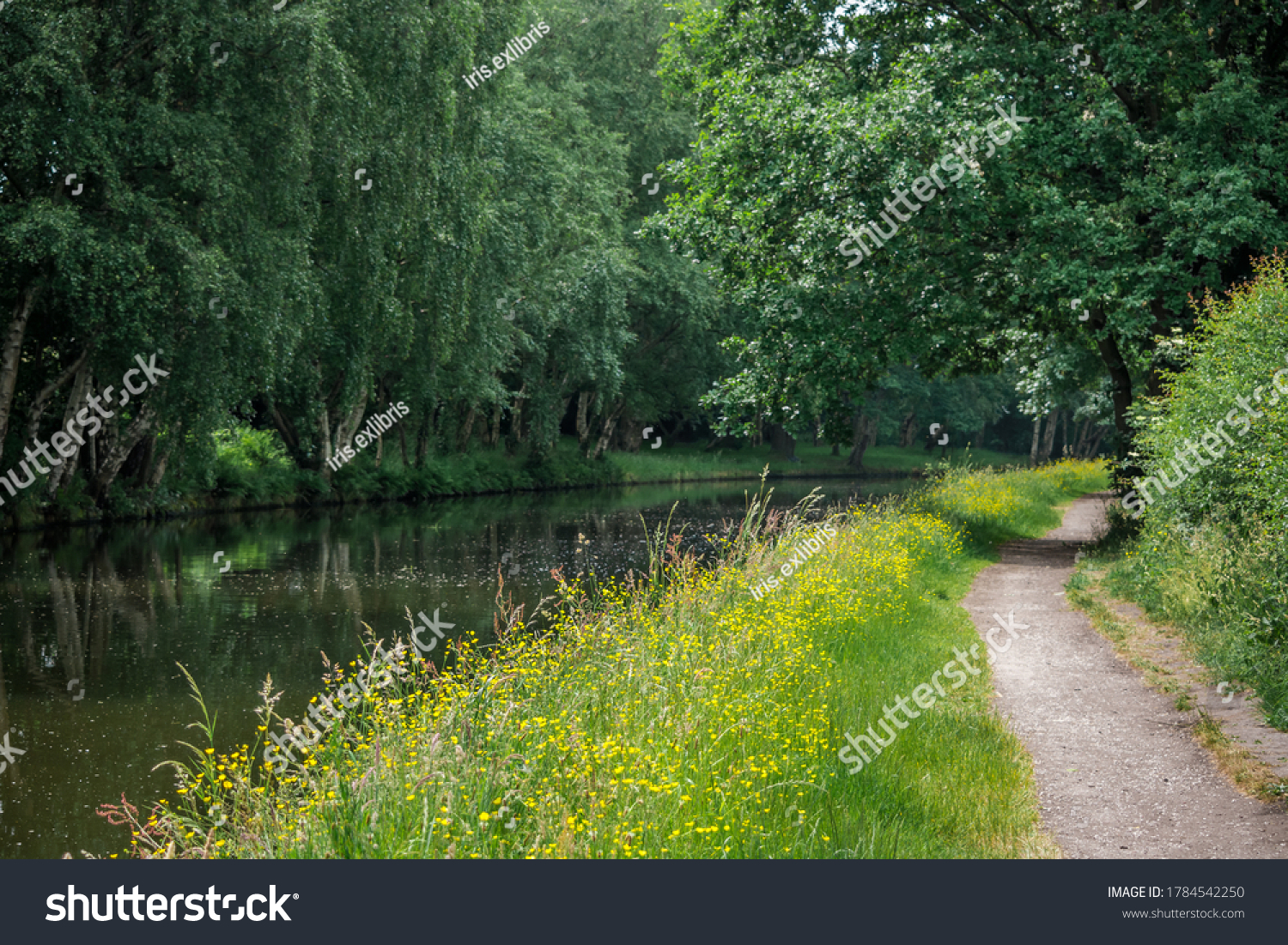 The path along The Bridgewater Canal in Cheshire, England  #1784542250