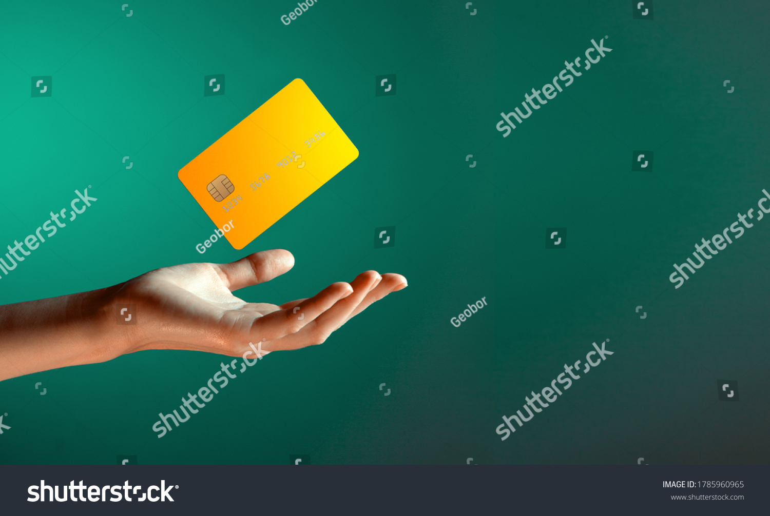 Close up female hand holds levitating template mockup Bank credit card with online service isolated on green background #1785960965