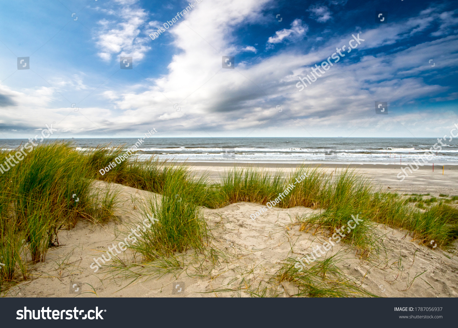 Wonderful dune beach on the North Sea island Langeoog in Germany with sand, dune grass, blue sky and clouds on a beautiful summer day; very healthy and quiet environment in Europe #1787056937