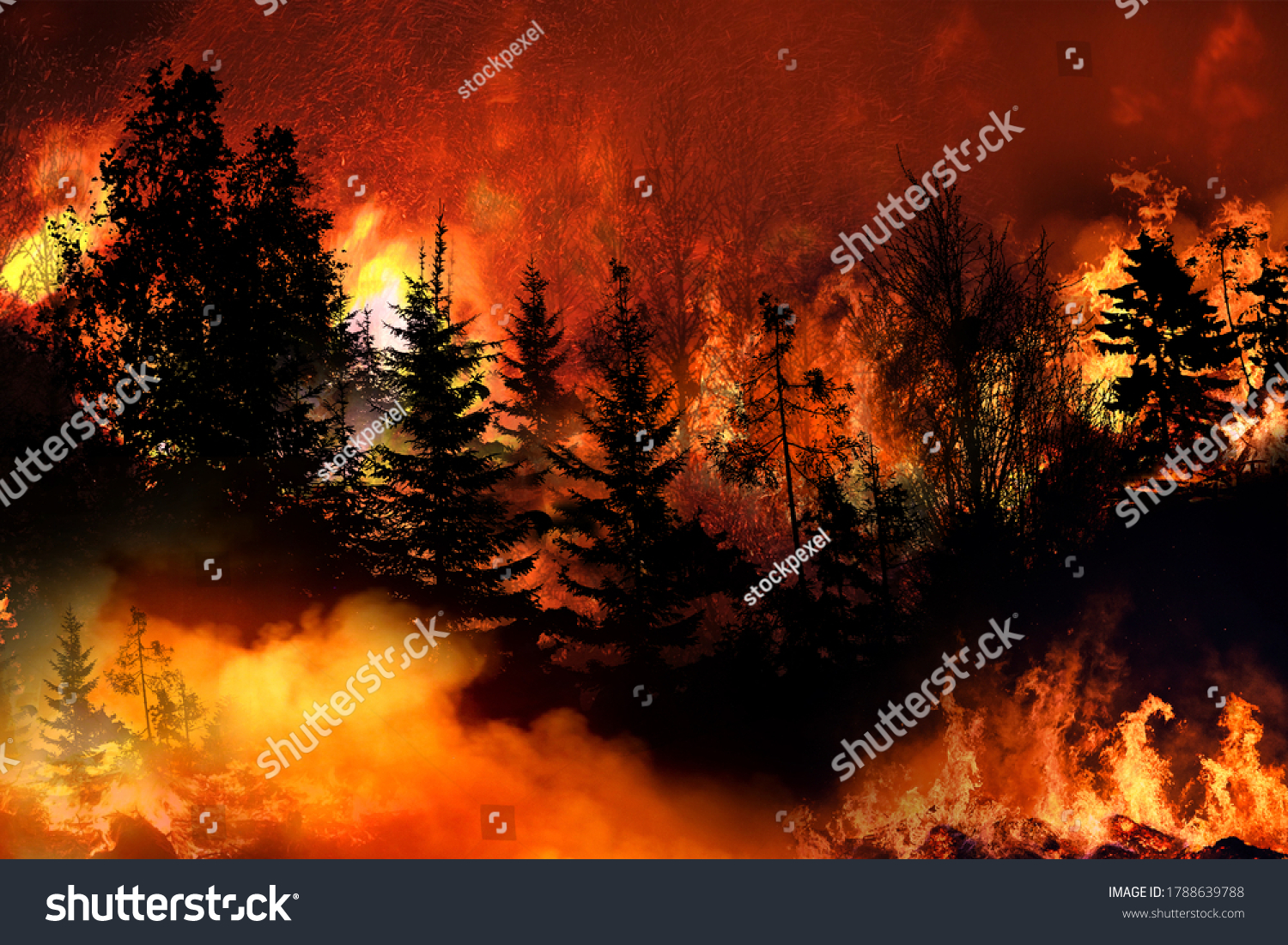 Spain wildfire, Heatwave  causes forest burning rapidly and destroyed, silhouette, natural calamity,  #1788639788