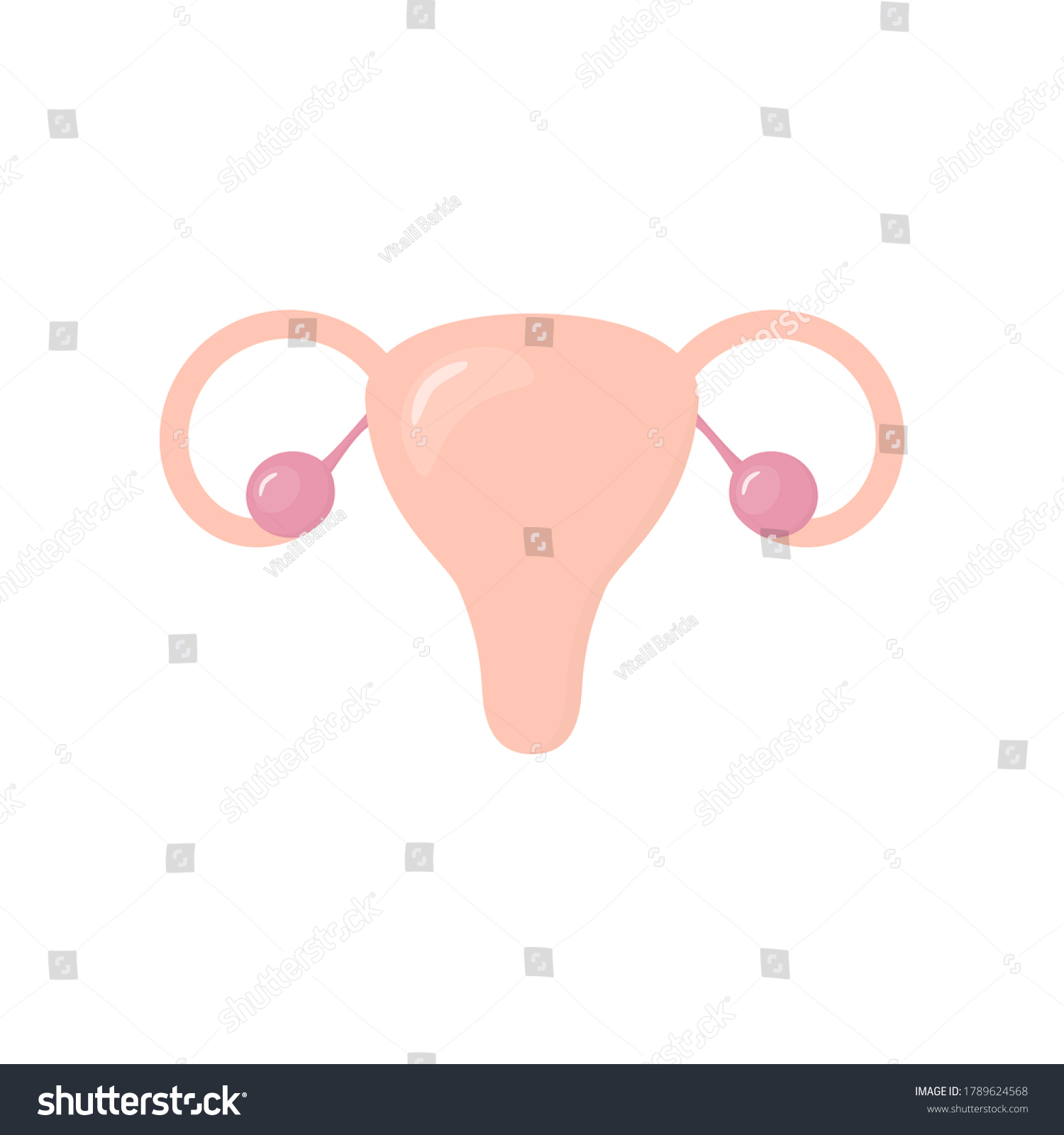 Female reproduction system colorful icon. Women - Royalty Free Stock ...