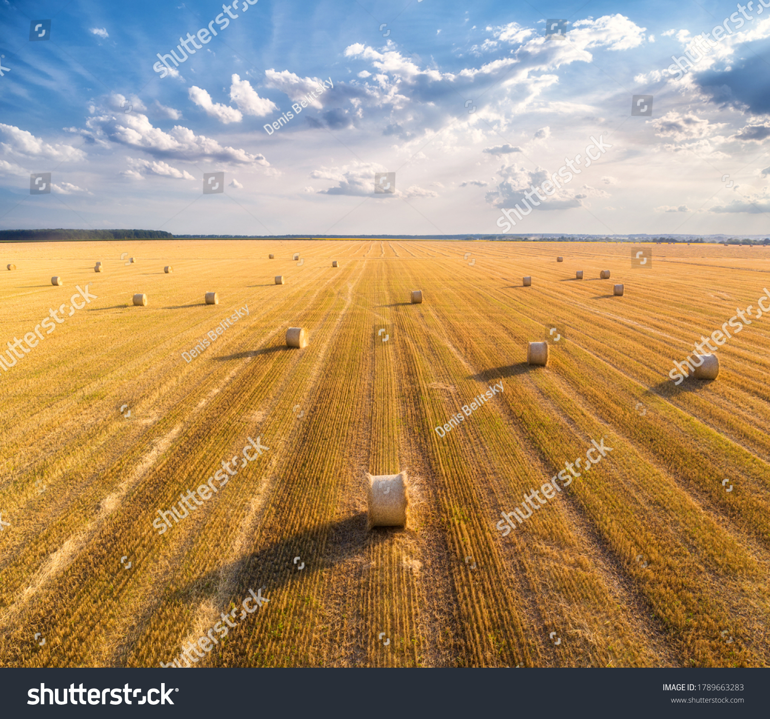 Aerial view of hay bales at sunset in summer. Top view of hay stacks. Agriculture. Field after harvest with hay rolls. Landscape with farm land, straw and meadow. Grain crop, harvesting yellow wheat #1789663283