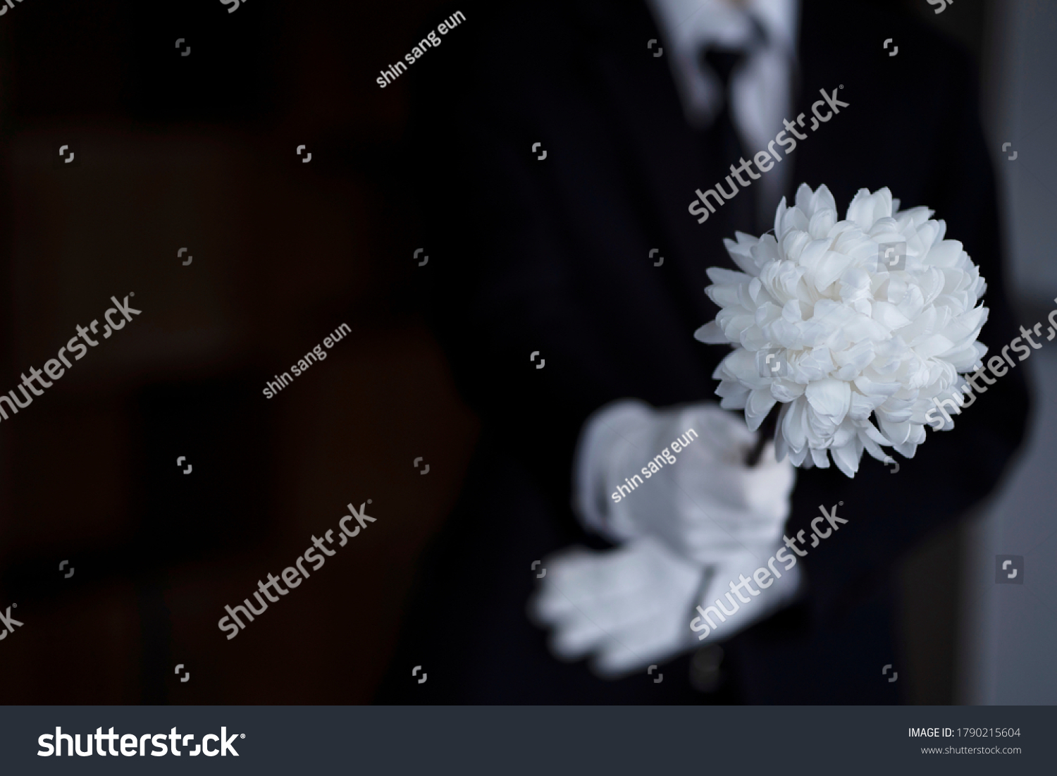 Bereaved holding flowers at funeral #1790215604