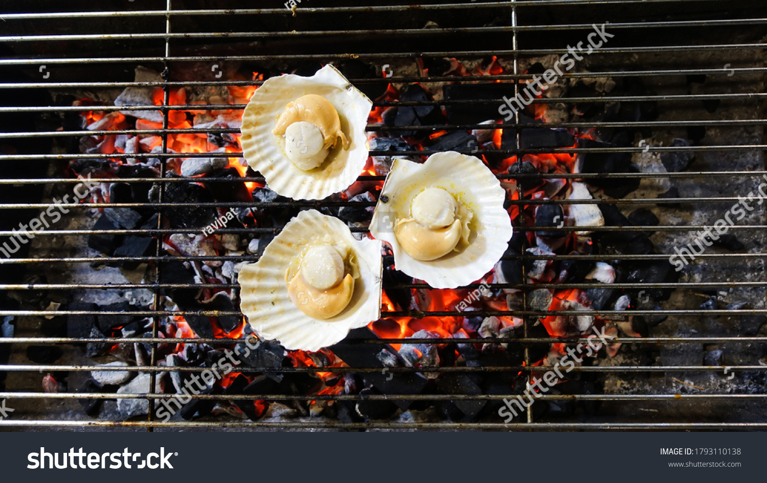 Shells are grilled on a charcoal grill dinner outdoors. Shells are burned on the grill. Shells cooking grilling on flaming grill steamed.                          #1793110138