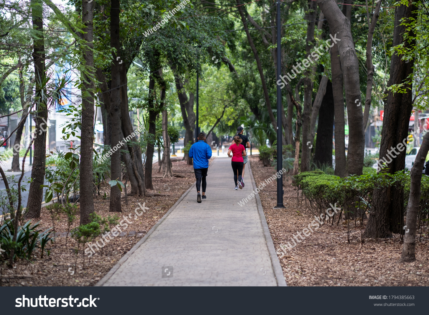 Runners in the lush green park island medians of Avenida Amsterdam in the trendy neighborhood of Condesa, in Mexico City (Ciudad de Mexico, CDMX). #1794385663