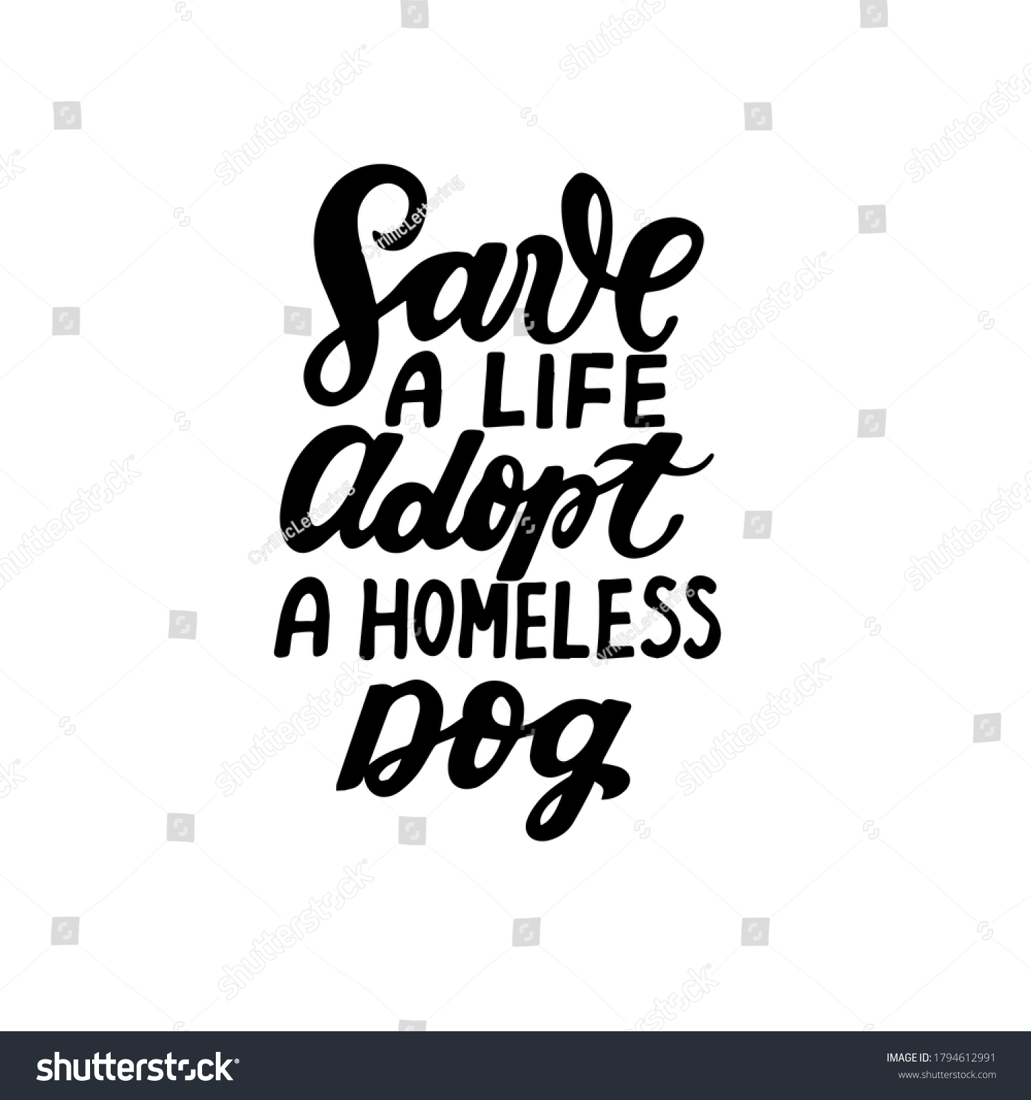 Image 18