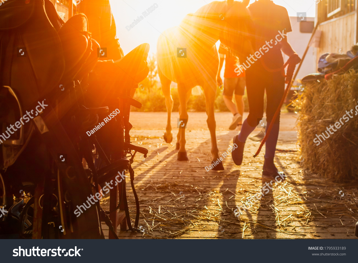 Equestrian tools stored in a stable at evening at the end of the eequestrian training on blurred background with sunset backlight. Mystical atmofphere #1795933189