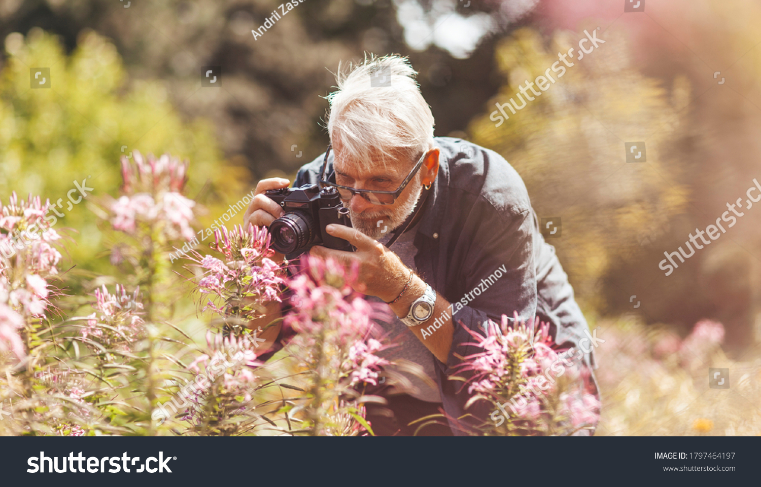 Elderly pensioner photographing pink flowers in the park, outdoor hobby. Active longevity. A keen and cheerful senior man. #1797464197