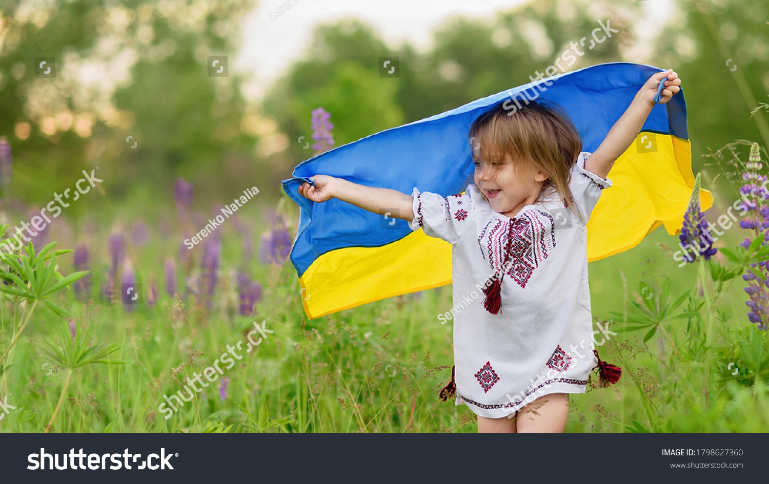 Ukraine's Independence Flag Day. Constitution day. 24 August. Patriotic holiday. Girl in traditional embroidery with flag of Ukraine. Child carries fluttering blue and yellow flag of Ukraine in field. #1798627360
