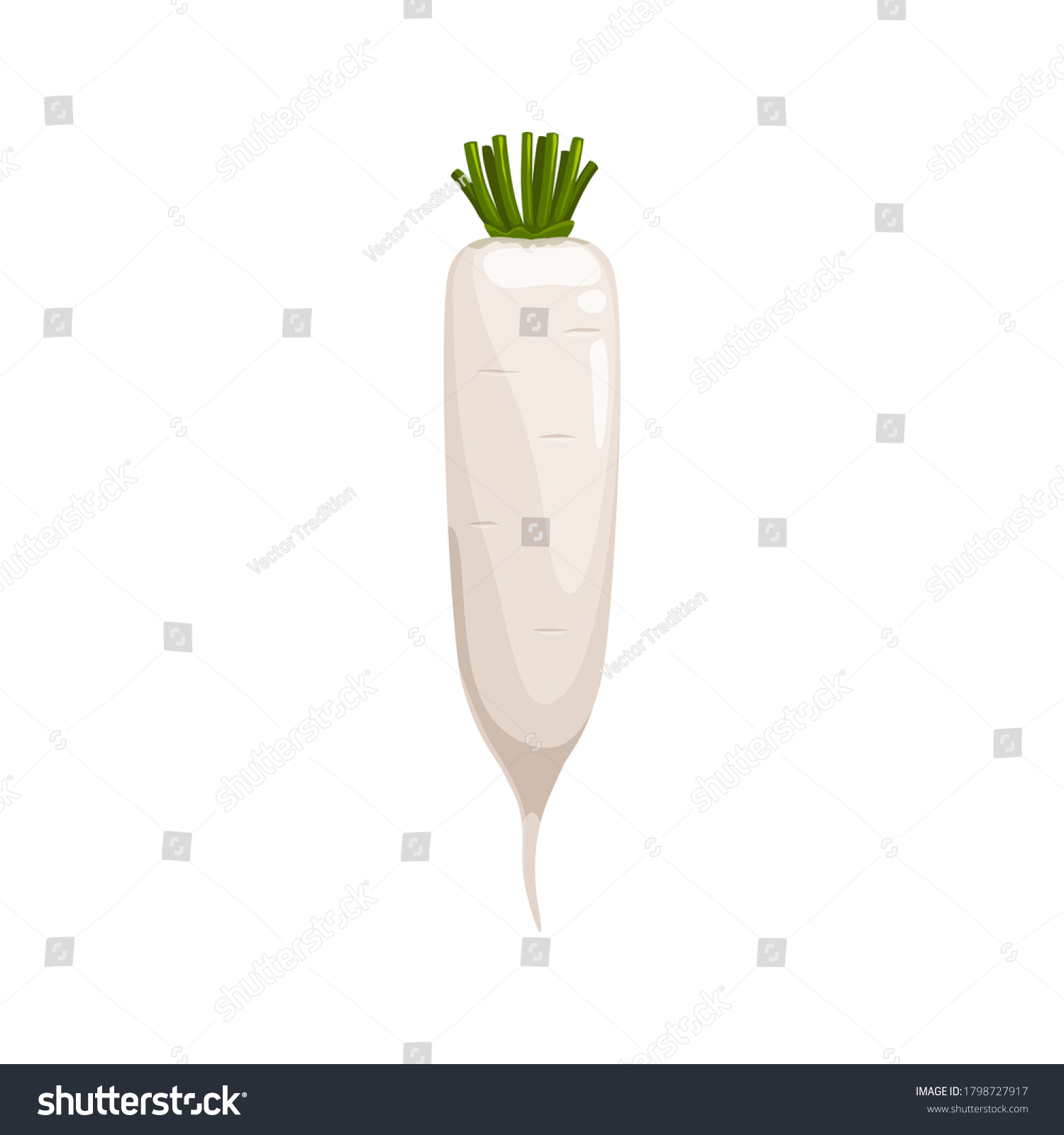 Daikon radish with green stem isolated vegetable root. Vector horseradish rhizome plant, organic spice condiment, realistic 3d horse-radish. White radish, fresh veggie with green stem, organic food #1798727917
