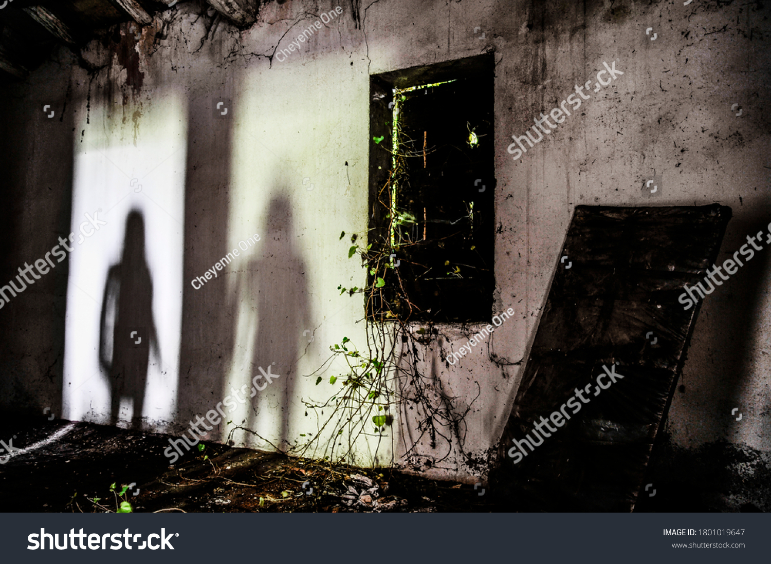 Mysterious shadow of a woman in an abandoned house - Silhouette of female ghost standing on the door of the room - Fear concept in abandoned house - Halloween concept #1801019647