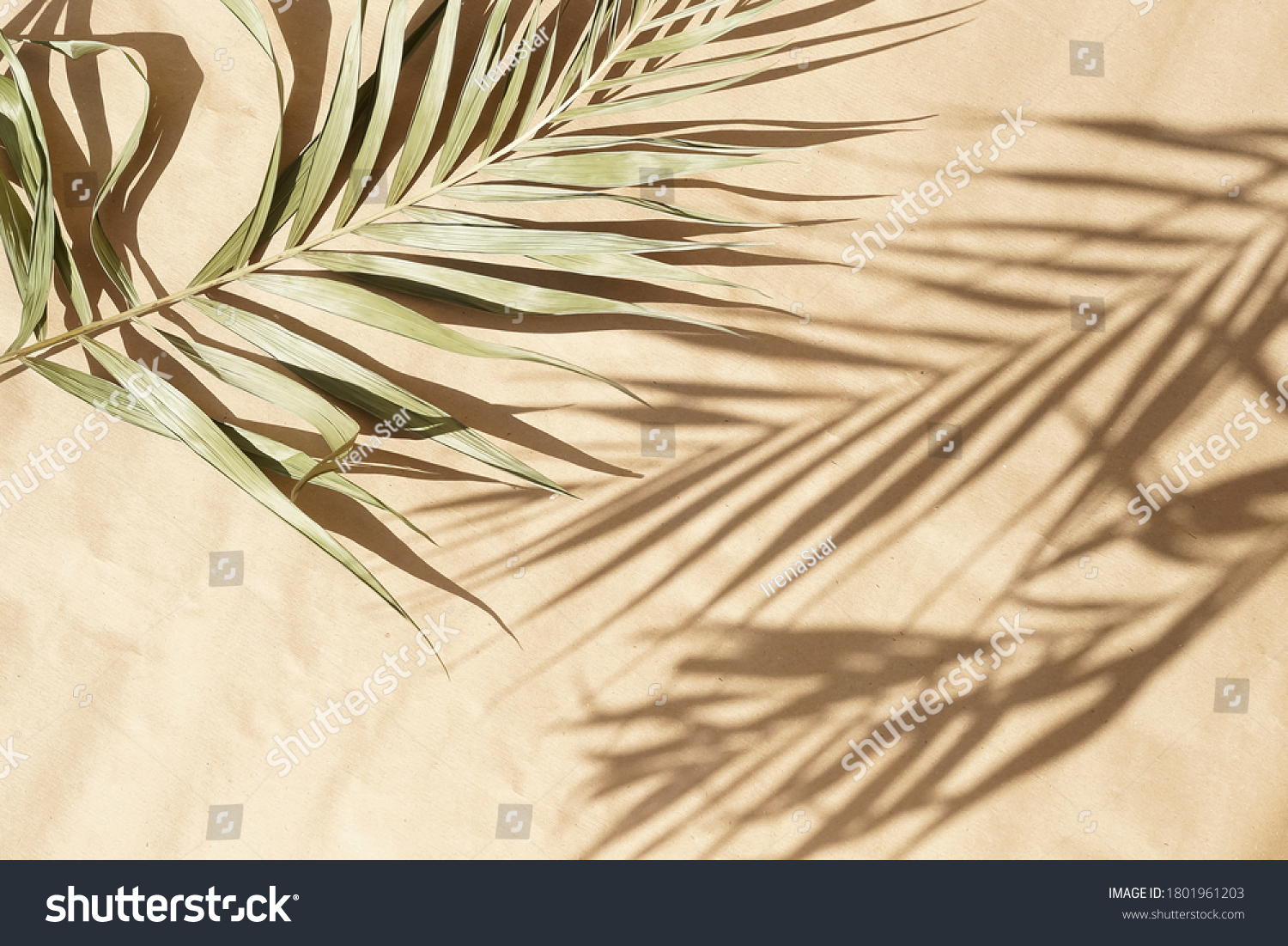blured natural palm leaves shadow background on beige paper texture .Tropics minimalist abstract backdrop. poster #1801961203