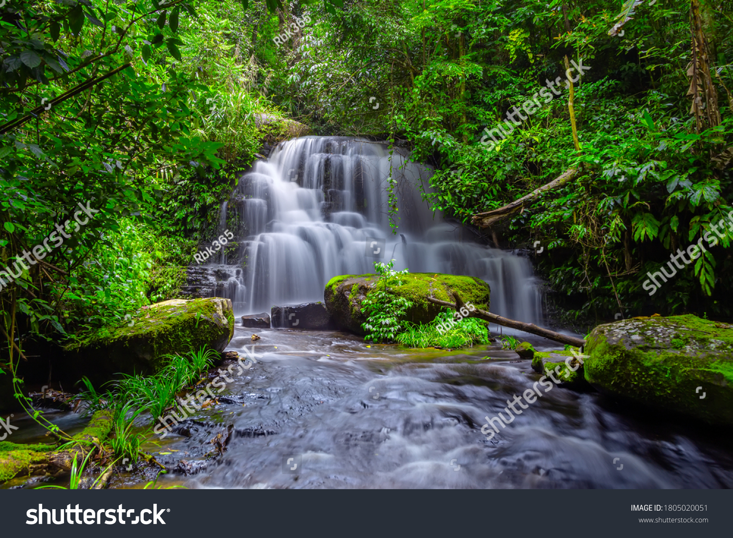 Mun dang or Man dang waterfall with a pink flower foreground in Rain Forest at Phitsanulok Province, Thailand #1805020051