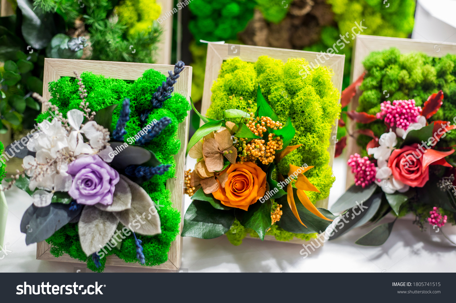 Decorative floristic arrangement of artificial flowers and stabilized moss, soft focus, selective focus. #1805741515