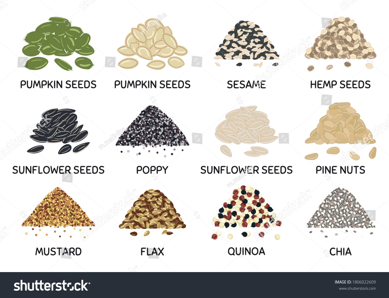 Set of hand drawn vector handful of seeds. Pumpkin and sunflower seeds, chia, poppy, flax, quinoa, mustard, hemp, pine nuts. Organic healthy food. Vegan and vegetarian poster #1806022609