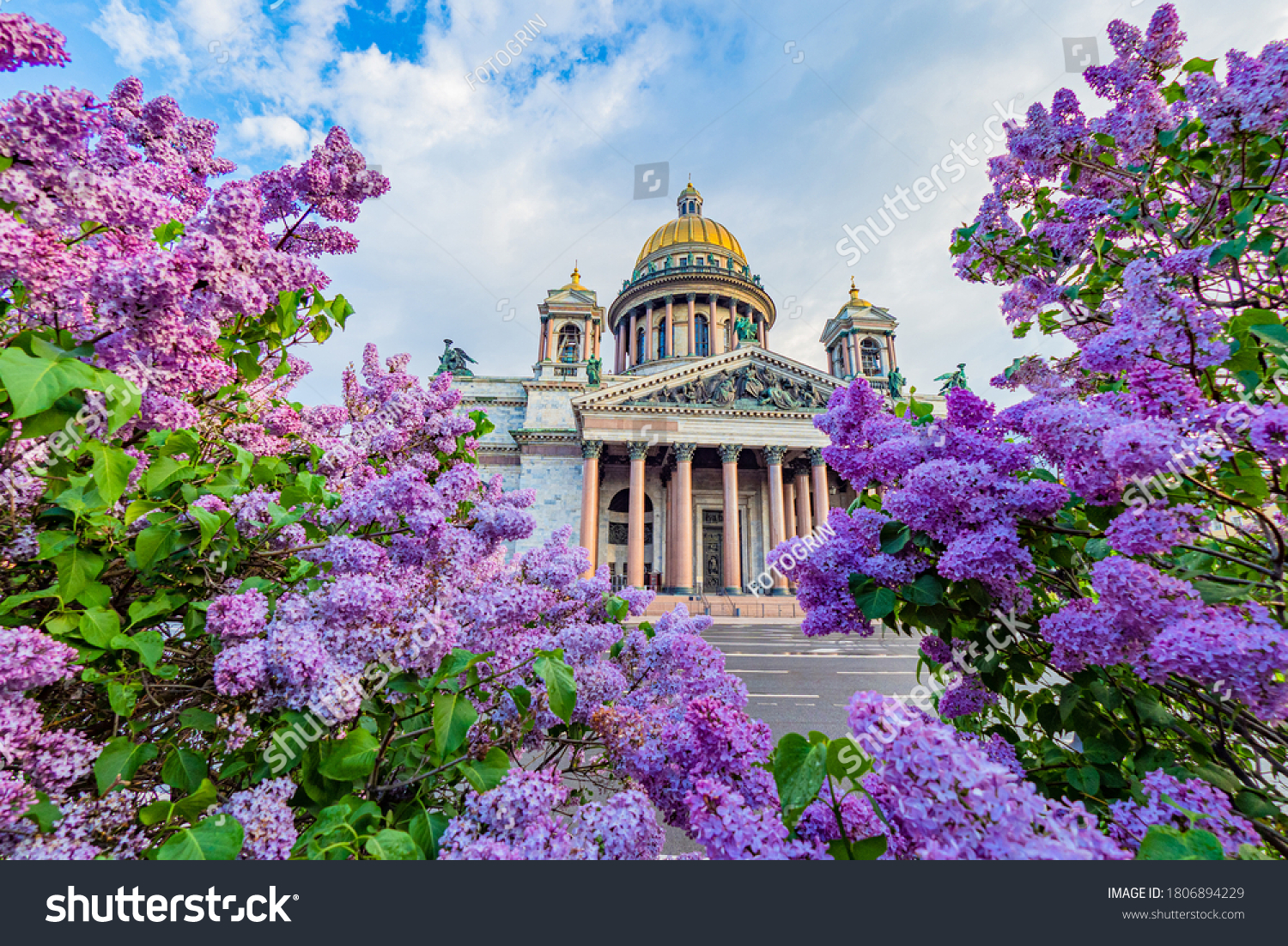 Saint Petersburg visit card. Russia. St. Isaac Cathedral on the background of blooming lilac. Summer in Saint Petersburg. Sights Of Saint Petersburg. Cities of Russia. #1806894229