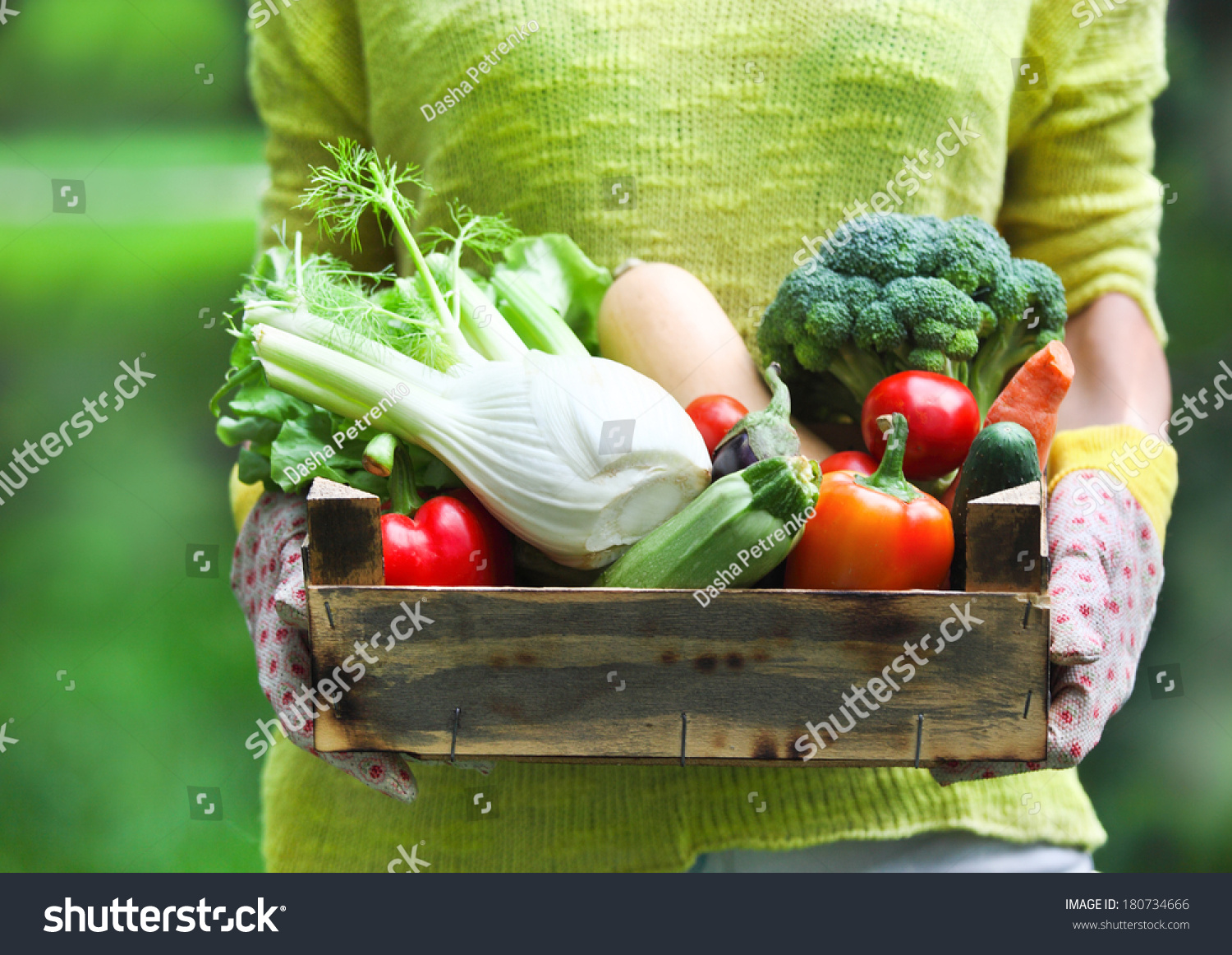 Woman wearing gloves with fresh vegetables in the box in her hands. Close up #180734666