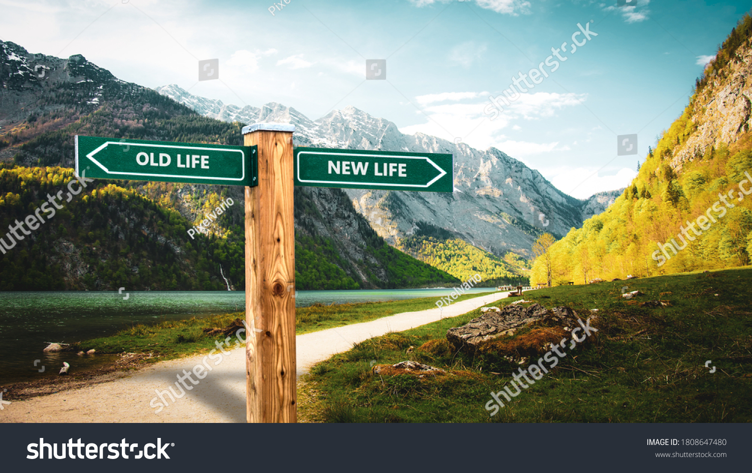 Street Sign the Direction Way to NEW LIFE versus OLD LIFE #1808647480