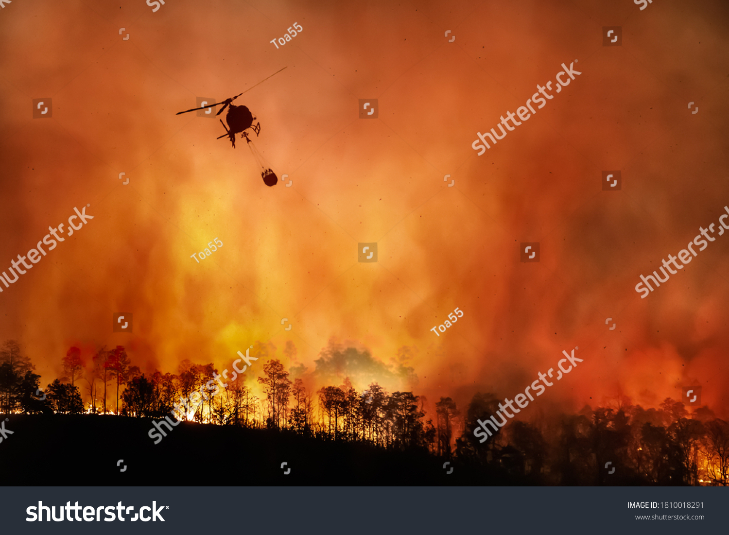 Fire fighting helicopter carry water bucket to extinguish the forest fire #1810018291