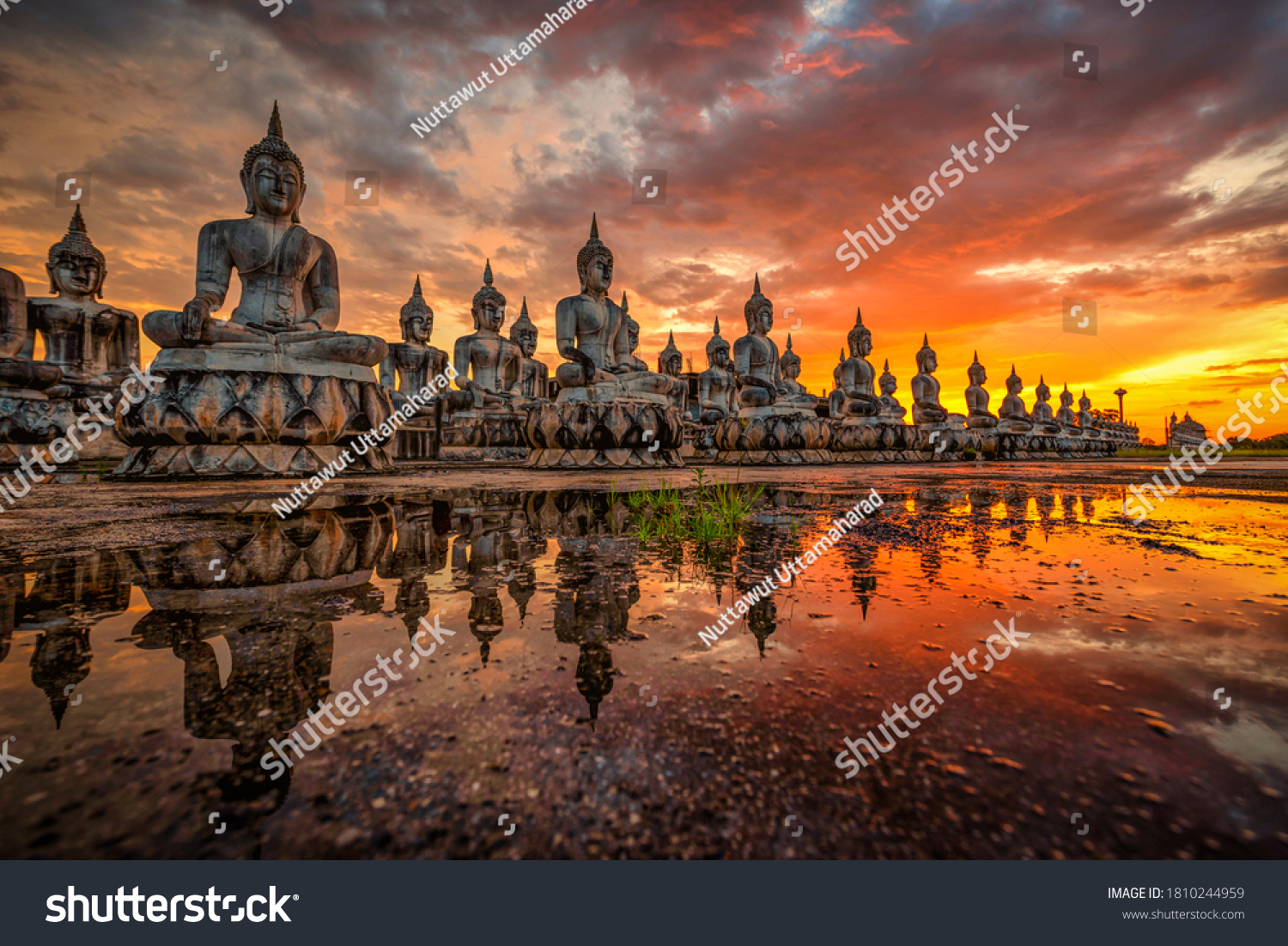 Many Statue buddha image at sunset in southen of Thailand #1810244959