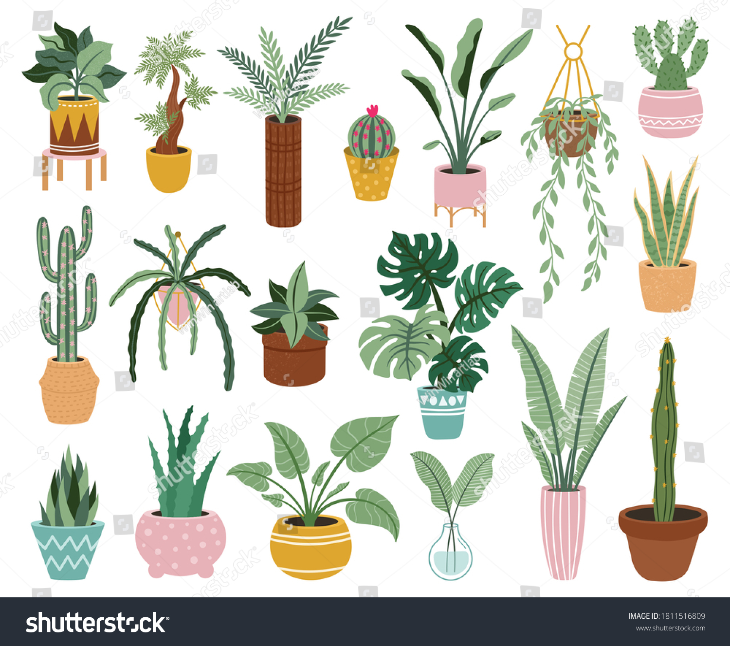 Home potted plants. Houseplants in plant pots, flower potted plant, green leaves interior decoration isolated vector illustration icons set. Ceramic containers and vase with aloe, cactus #1811516809