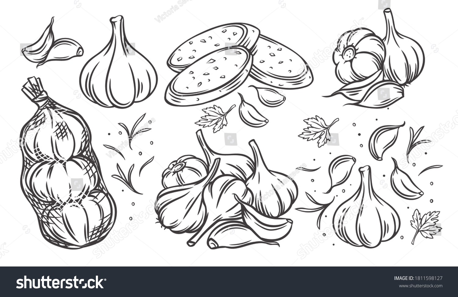 Garlic outline drawn monochrome icon set. Pile of garlic bulbs, in net bag and runchy garlic bread. Vector illustration of vegetables, farm product. #1811598127