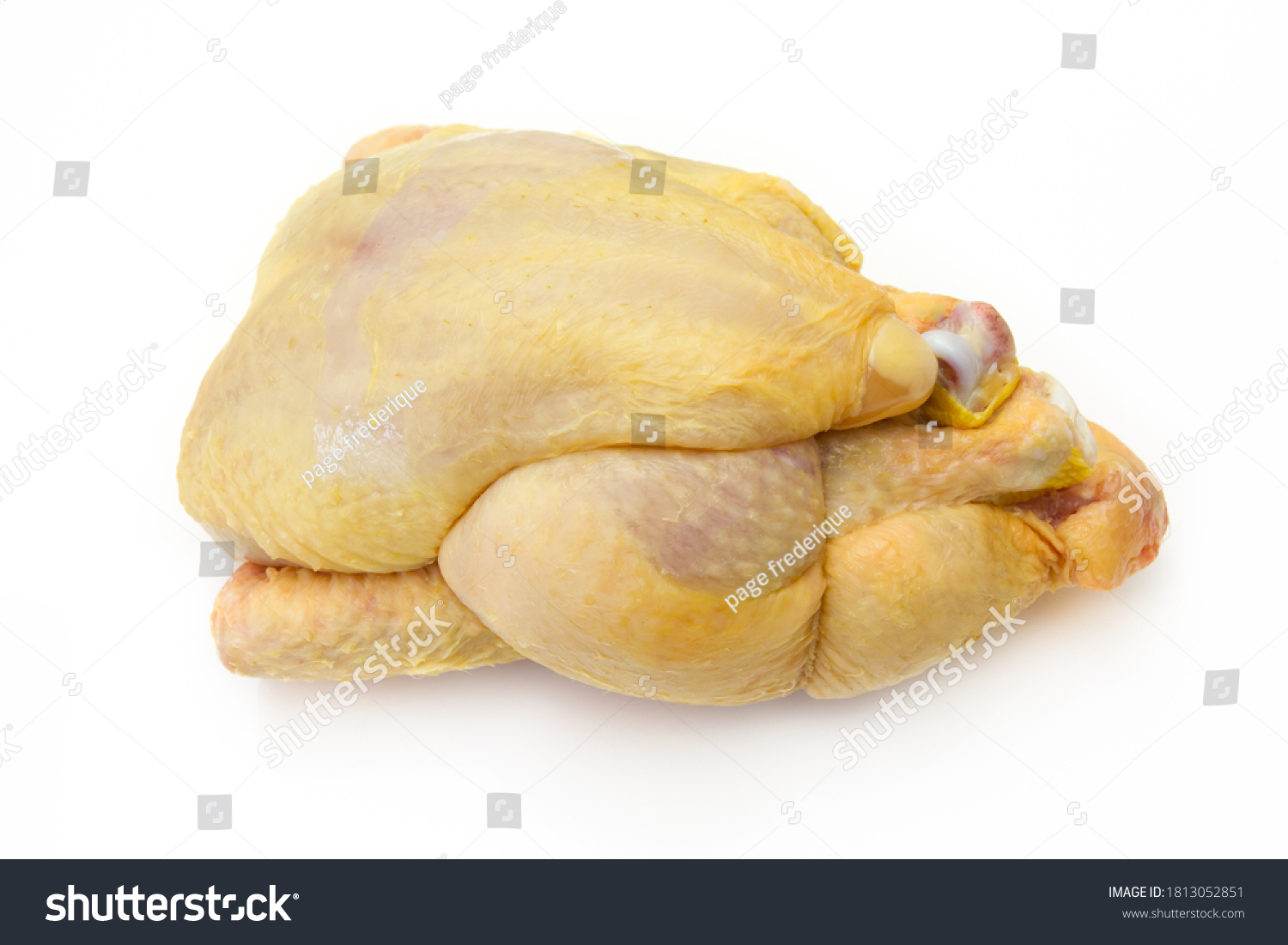 whole raw guinea fowl isolated on a white background #1813052851