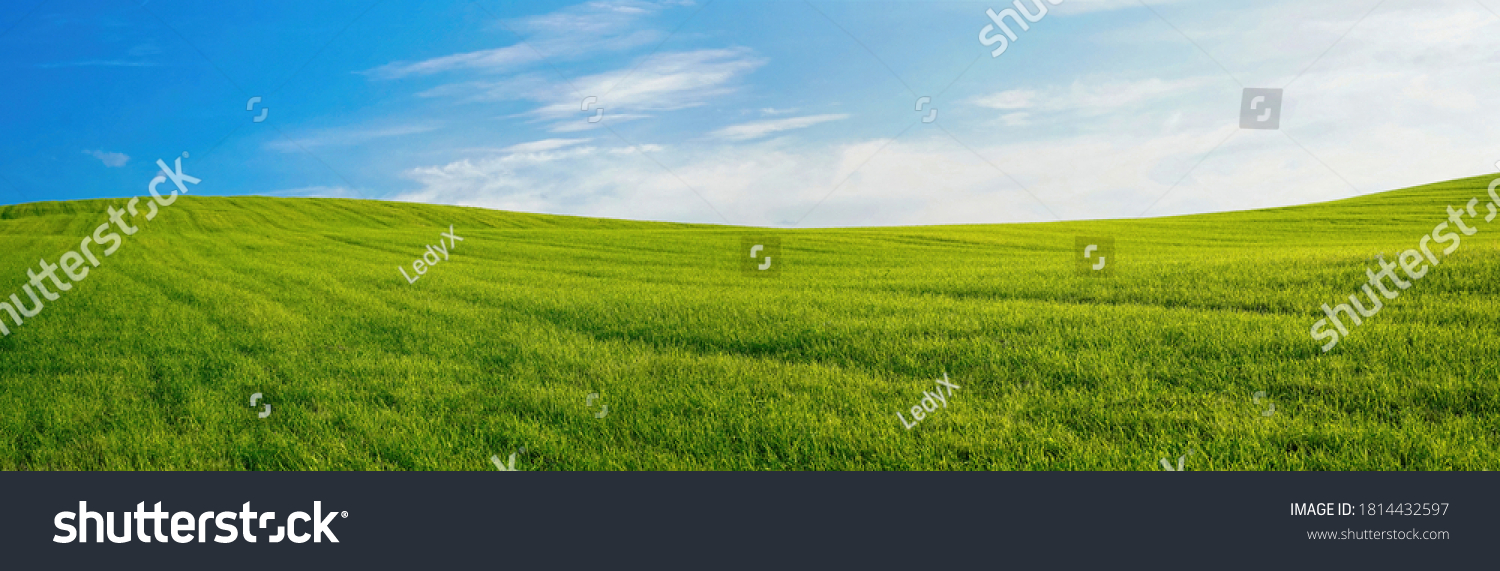 Panoramic natural landscape with green grass field and blue sky with clouds with curved horizon line. Panorama summer spring meadow. #1814432597