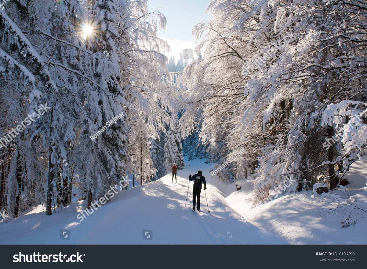 Cross country skiing in the forest, Sumava, Czech republic #1816196690