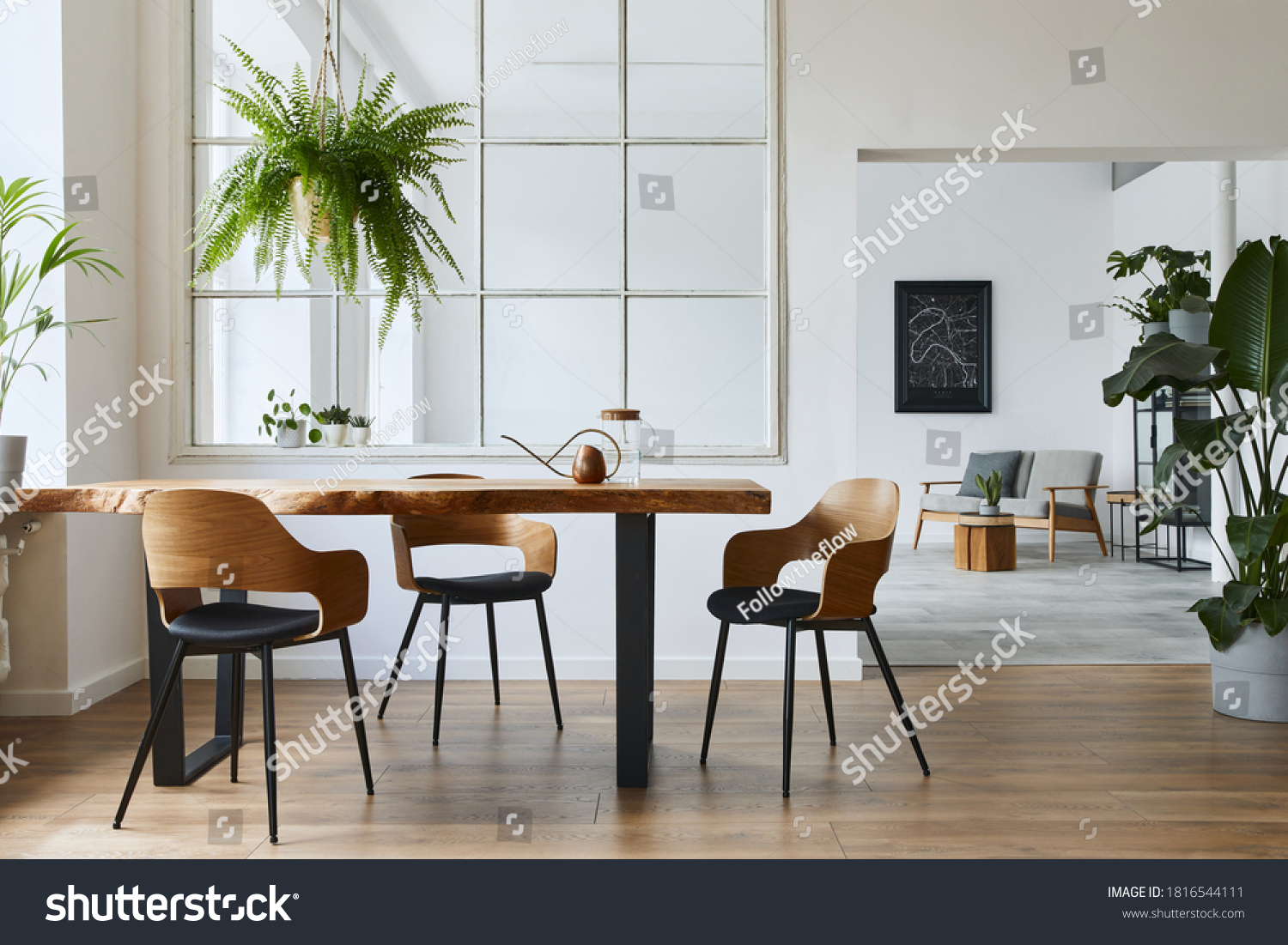 Stylish and botany interior of dining room with design craft wooden table, chairs, a lof of plants, window, poster map and elegant accessories in modern home decor. Template. #1816544111