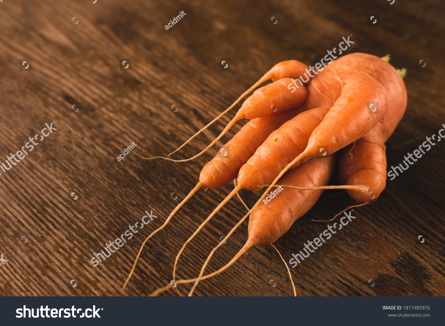 Ugly carrot on a wooden background. Funny, unnormal vegetable or food waste concept. Horizontal orientation #1817485976