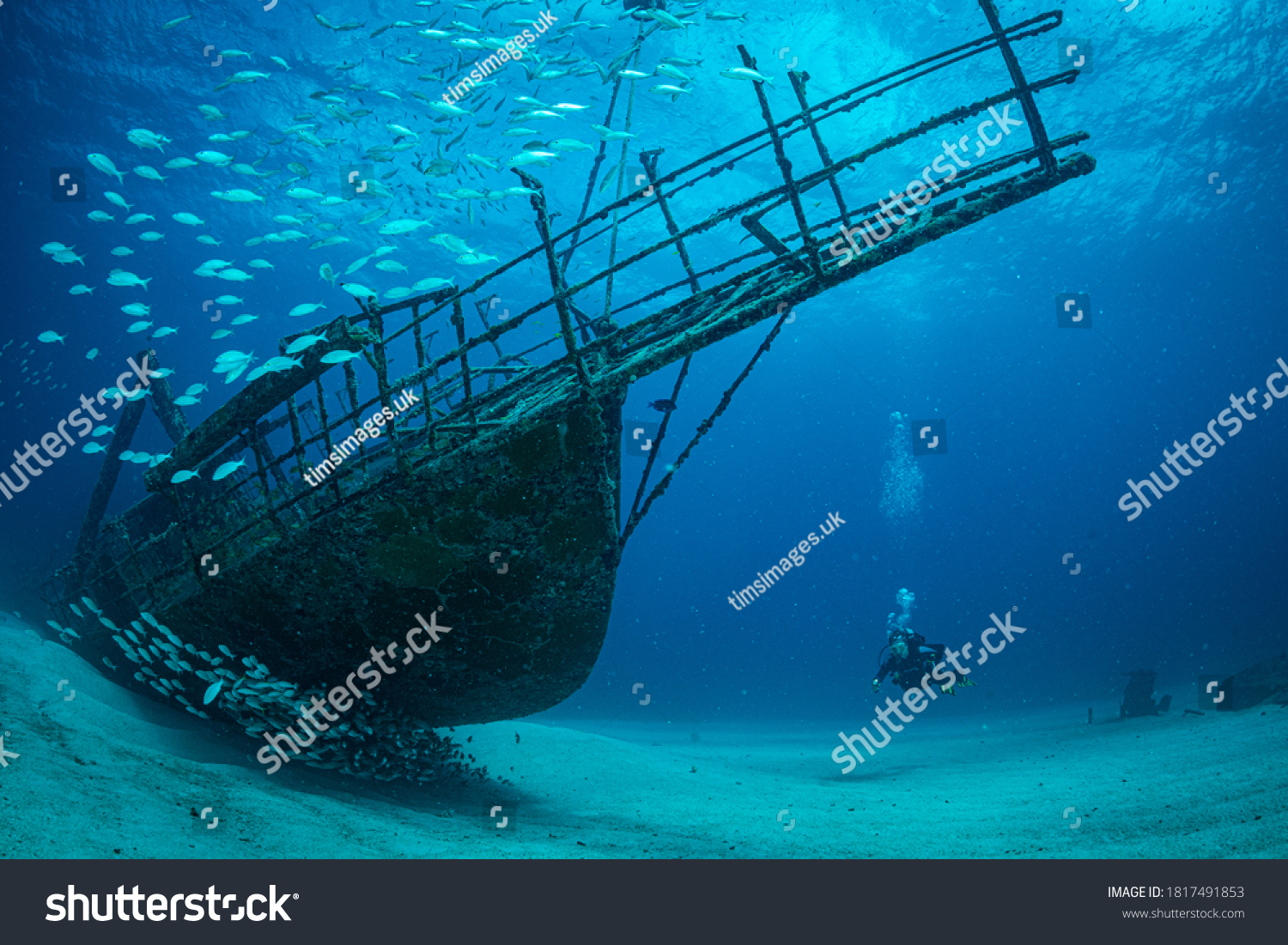 Women diver explores the wrecks at the Bridge dive site on the island of Sint Maarten, Dutch Caribbean #1817491853