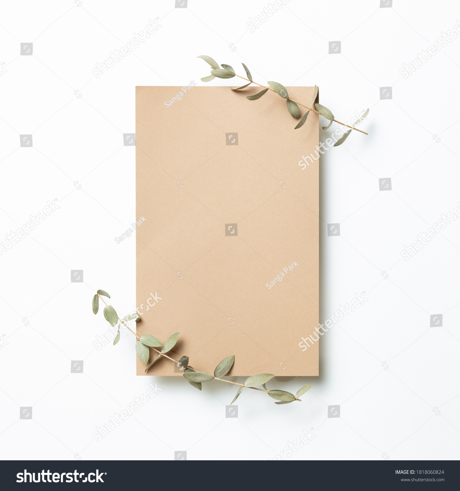 Kraft brown memo pad, empty paper with eucalyptus leaves on white background. top view, copy space #1818060824