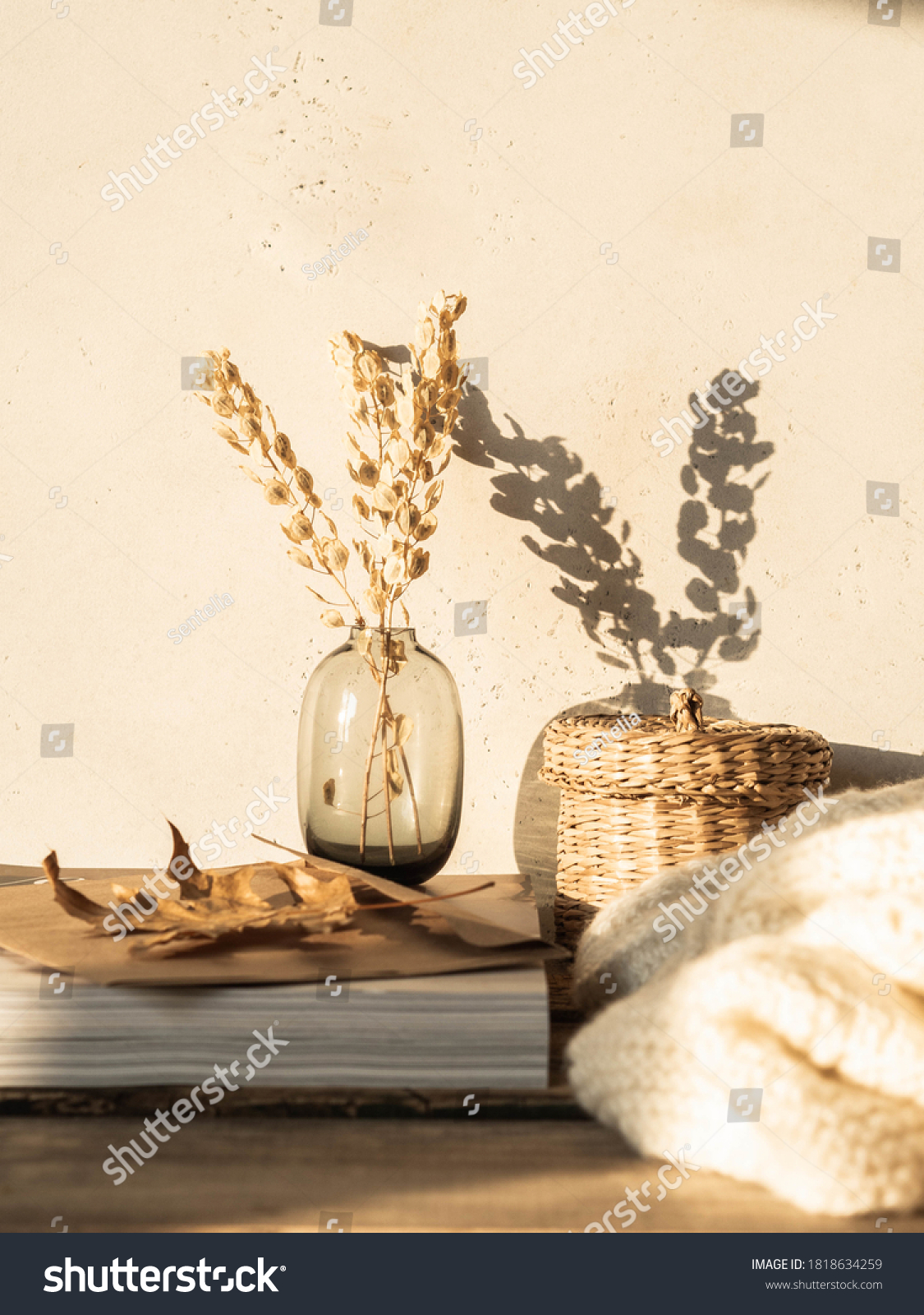Cozy autumn home still life of dry flowers in vase, straw box, knitted blanket and magazines on rustic wooden table and shadows on the wall from the bright setting sun #1818634259
