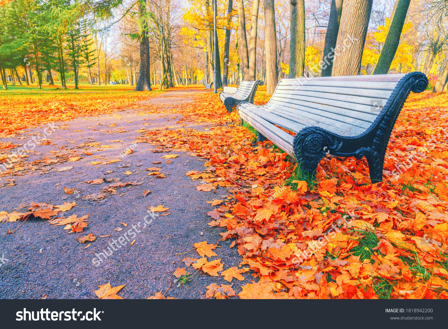 Morning landscape in autumn park. Orange red maple leaves on road. Yellow forest tree on background. Fall season nature scene beauty. Bench alley in city garden. Path in woods, scenery in sun street #1818942200