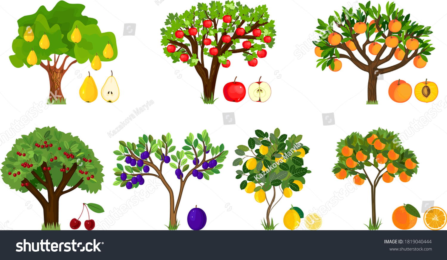 Set of different fruit trees with ripe fruits - Royalty Free Stock ...