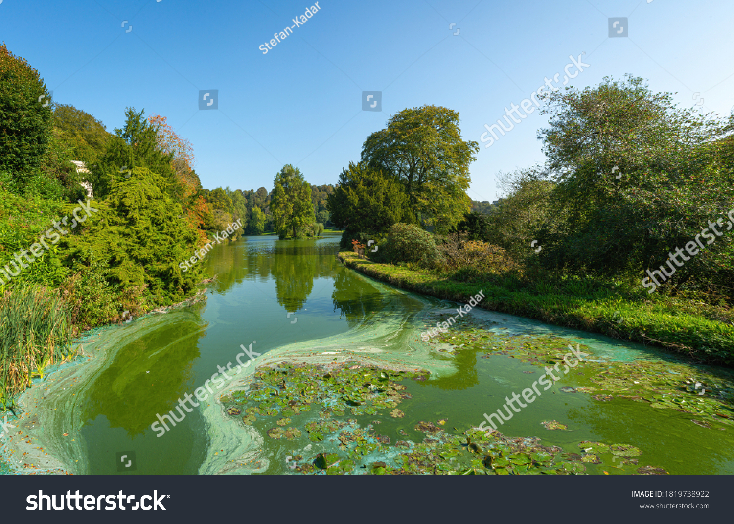 Swirling green and blue algae (Cyanobacteria) on a lake filled with thick green water surrounded by trees on a clear blue sky #1819738922