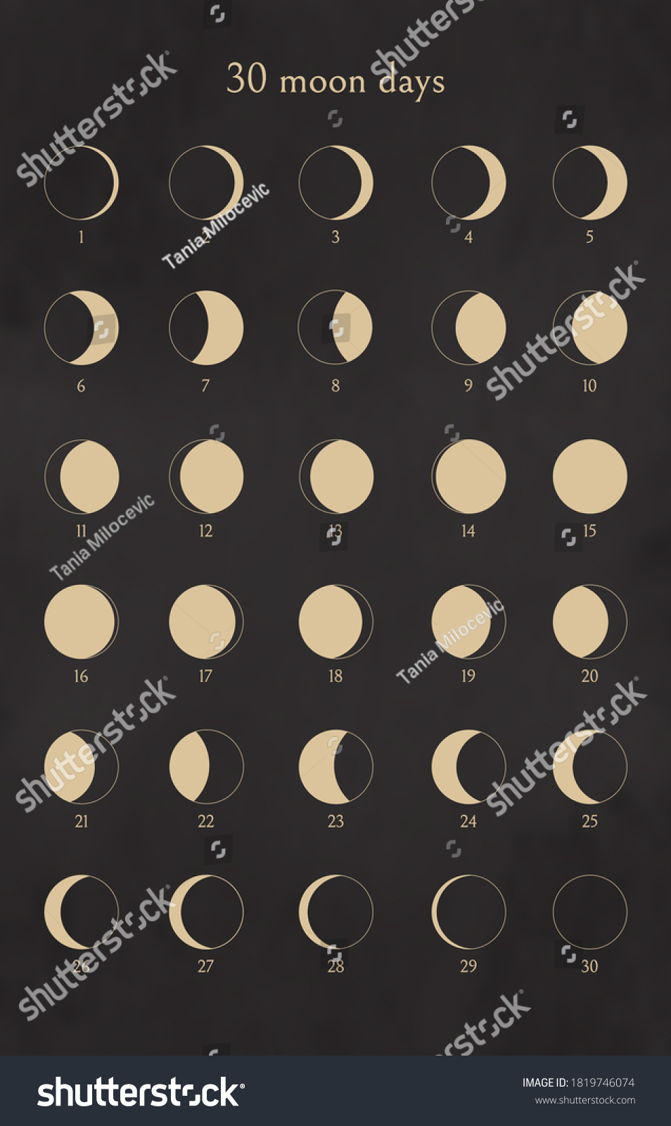 Moon phases set. 30 Moon days calendar. Royalty Free Stock Vector