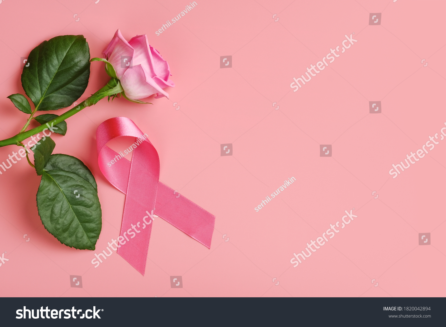 Pink ribbon and rose on pink background. Breast cancer awareness month concept #1820042894