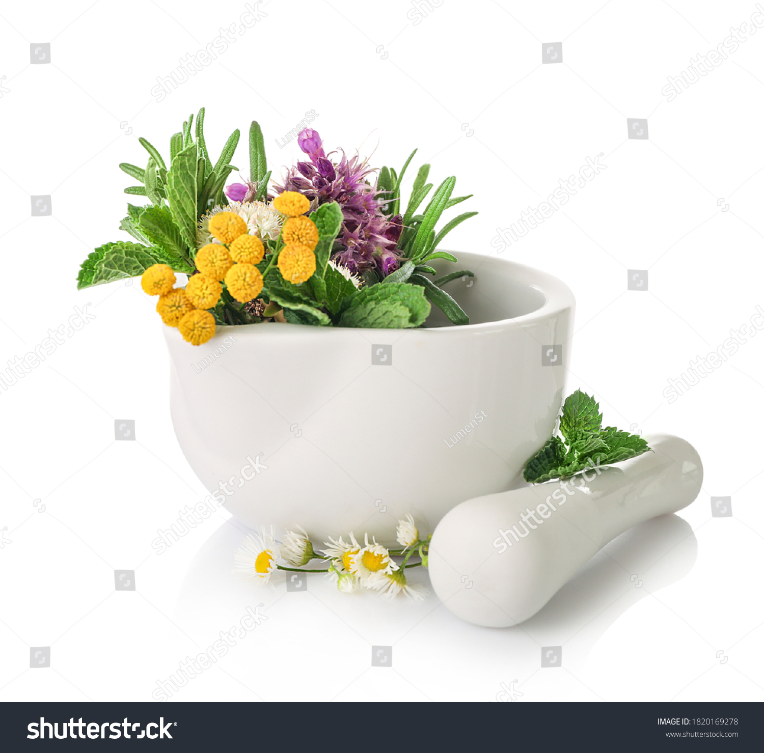 Medicinal herbs in mortar with pestle isolated on white background. Herbal medicine concept. #1820169278