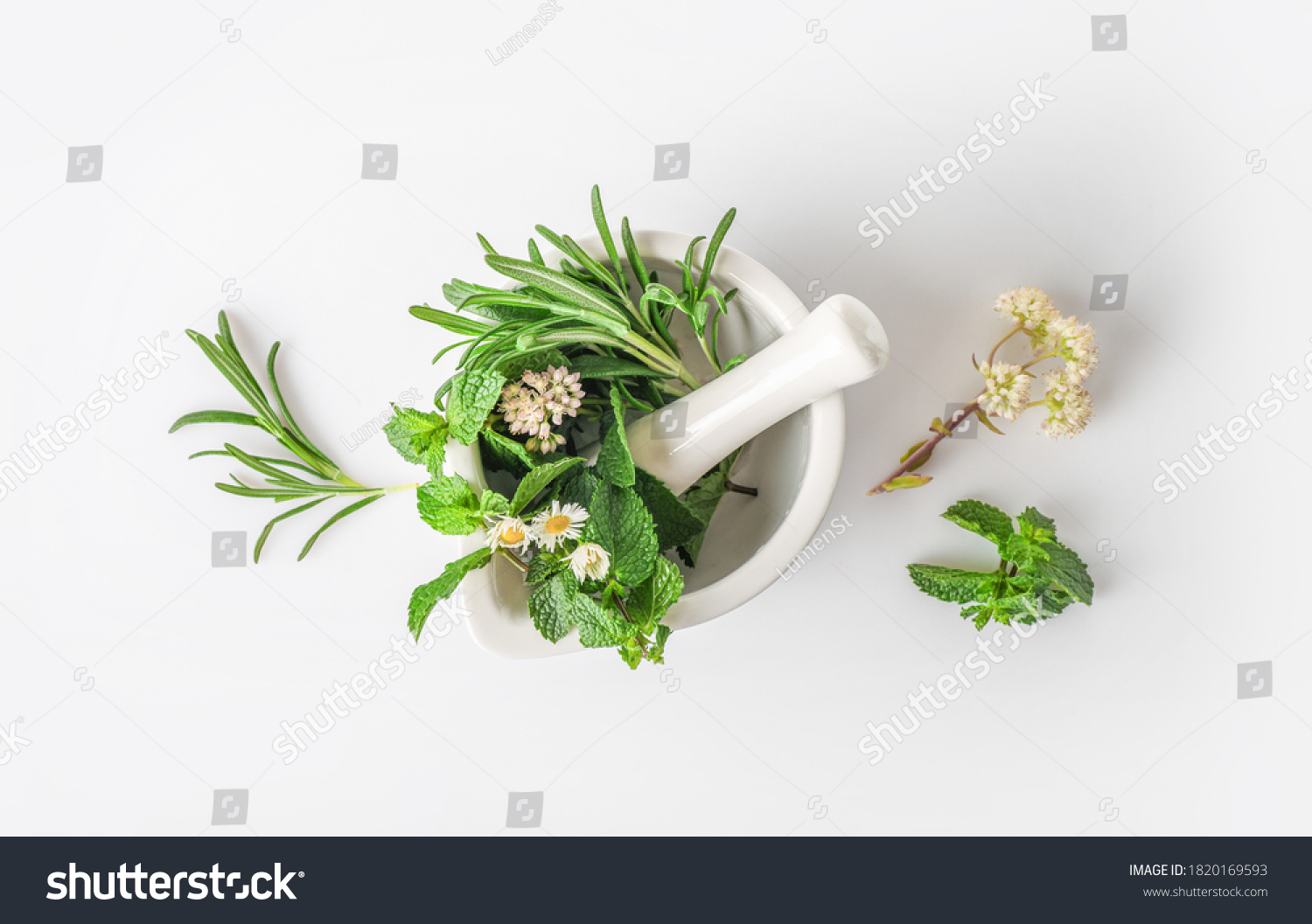 Medicinal herbs in mortar with pestle isolated on white background. Top view. Herbal medicine concept. #1820169593